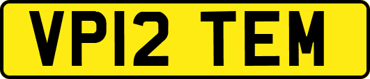 VP12TEM