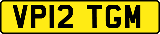 VP12TGM