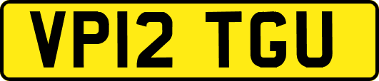 VP12TGU