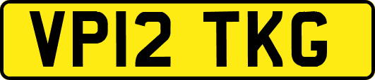 VP12TKG