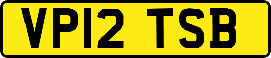 VP12TSB