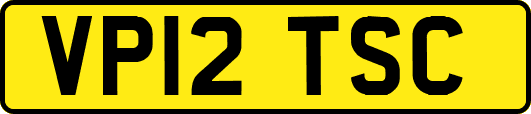 VP12TSC
