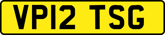 VP12TSG