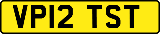 VP12TST