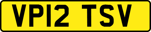 VP12TSV