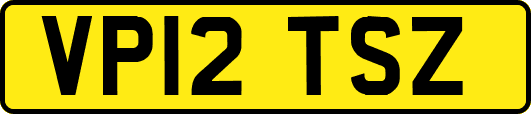 VP12TSZ