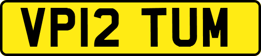 VP12TUM