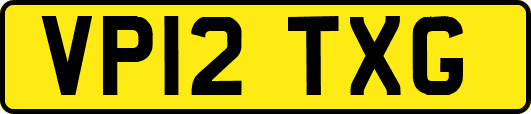VP12TXG