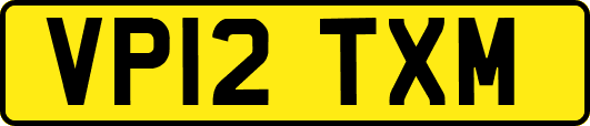 VP12TXM