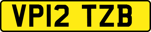 VP12TZB