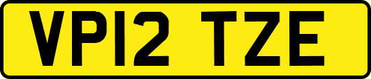 VP12TZE