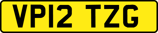 VP12TZG