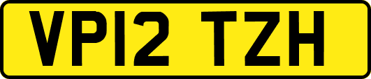 VP12TZH