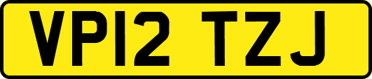 VP12TZJ