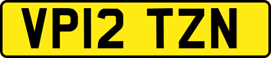 VP12TZN