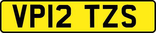 VP12TZS