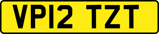 VP12TZT