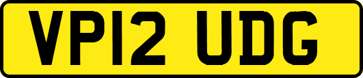 VP12UDG