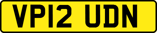 VP12UDN