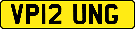 VP12UNG