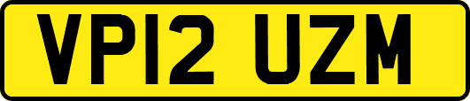 VP12UZM