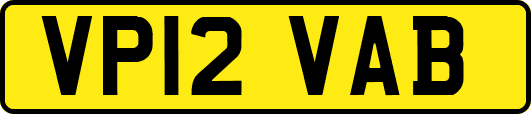 VP12VAB