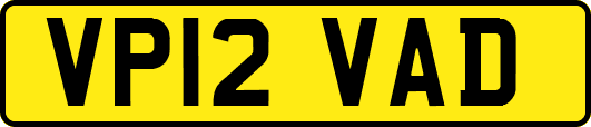 VP12VAD