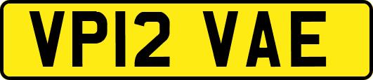 VP12VAE