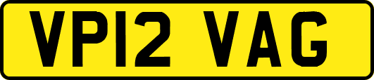 VP12VAG