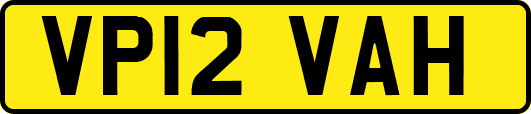 VP12VAH