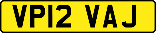 VP12VAJ