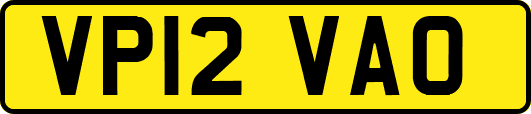 VP12VAO