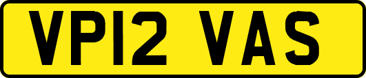 VP12VAS