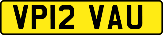 VP12VAU