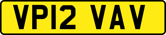 VP12VAV