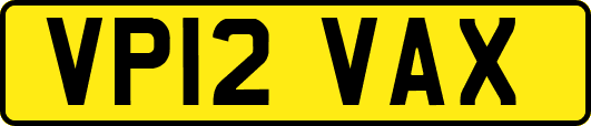 VP12VAX
