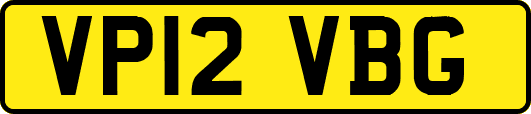 VP12VBG
