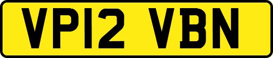 VP12VBN