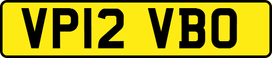 VP12VBO