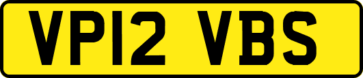 VP12VBS