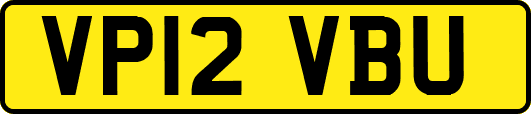 VP12VBU