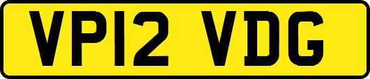 VP12VDG