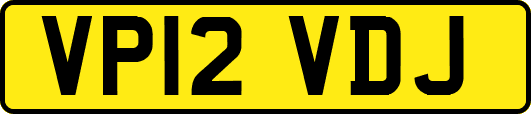 VP12VDJ