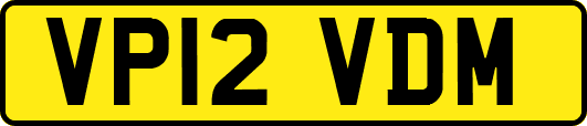 VP12VDM