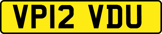 VP12VDU