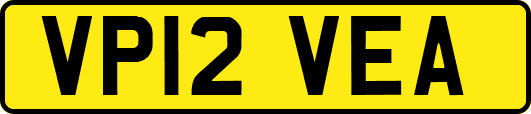VP12VEA