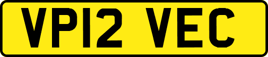 VP12VEC