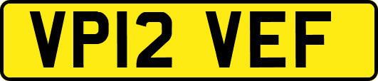 VP12VEF