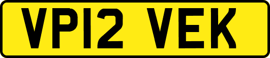 VP12VEK