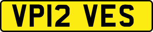 VP12VES